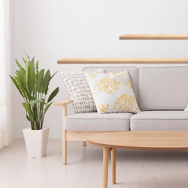 70 Things That Clutter Up British Homes The Most