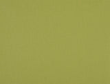 Kensington Plain Roller Blind Vine